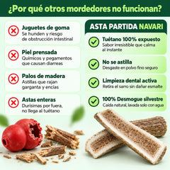 1. Asta de Ciervo Ibérico Partida (Desmogue Natural)