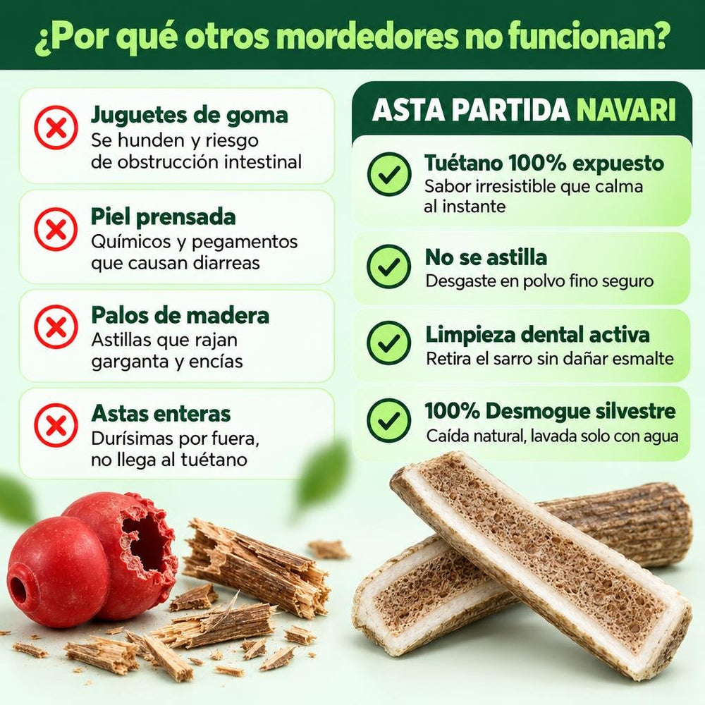 1. Asta de Ciervo Ibérico Partida (Desmogue Natural)